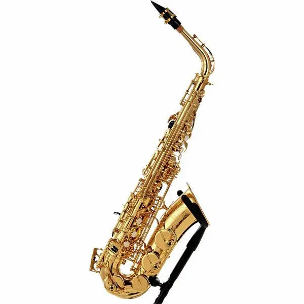 How to choose an alto saxophone for beginners?