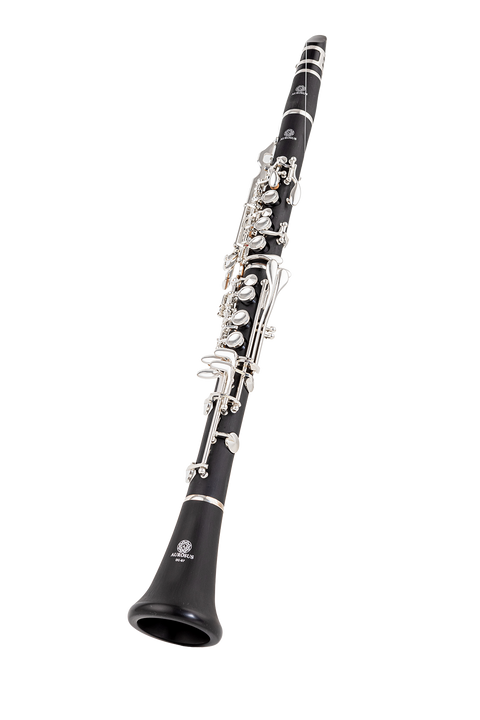 Beginner Bb Clarinet 17 Keys - ABS Material with Ideal Tones for Student Musicians