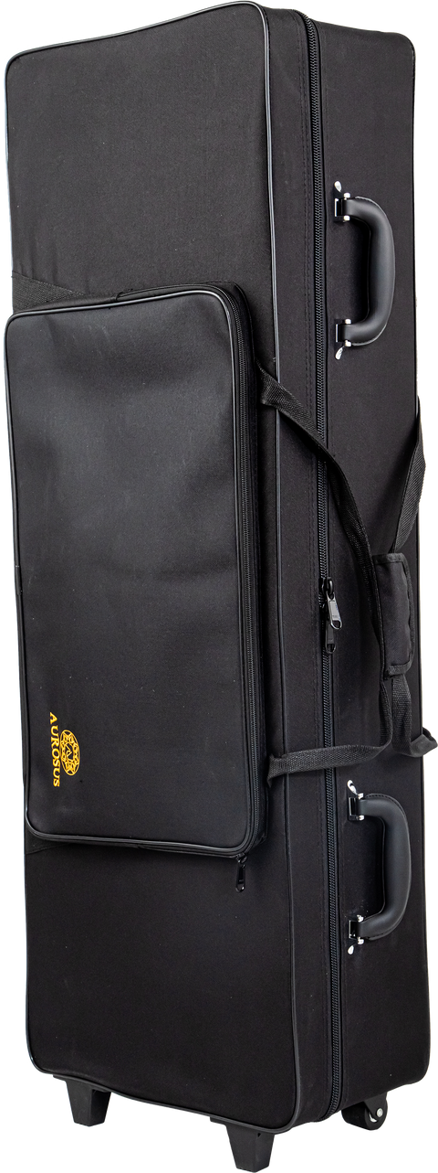 Aurosus baritone saxophone 565