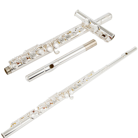 AUROSUS OASIS-SE6 Student Closed-Hole Flute with Offset G, C-Foot, Nickel Silver, Y-Arms 121
