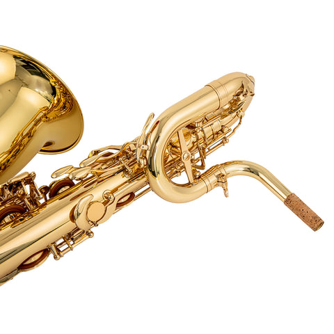 Baritone Saxophone with Ergonomic Design, High F# & Low A Keys, Case & Accessories Included 443