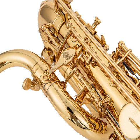 aurosus baritone saxophone 1