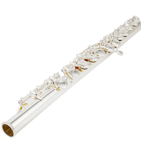 AUROSUS OASIS-SE6 Student Closed-Hole Flute with Offset G, C-Foot, Nickel Silver, Y-Arms