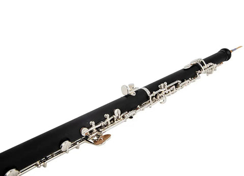 AUROSUS high-pitched oboe instrument4