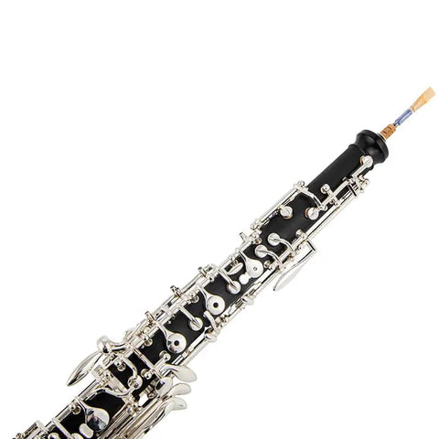 AUROSUS high-pitched oboe instrument1