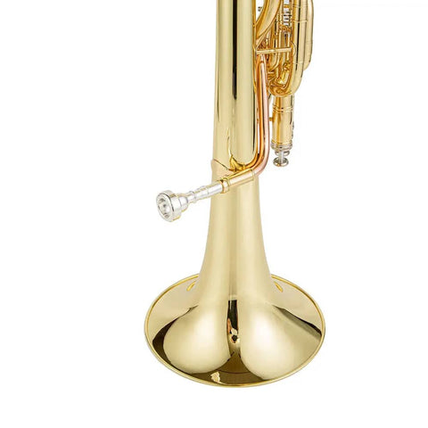 AUROSUS Alto Horn with 3 Piston Valves for Students, Gold Lacquer Finish and Yellow Brass Bell6