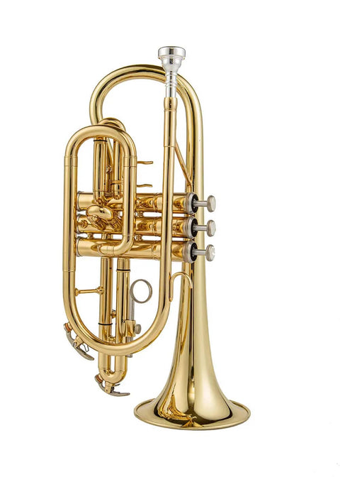 JP YCR-4330 Bb Cornet by Aurosus - Exceptional quality yellow brass instrument with gold lacquer finish7