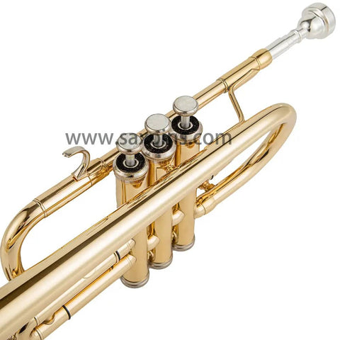 TR-6338 Eb/D Student Trumpet with Mouthpiece brass trumpets 02140