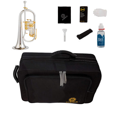 24R Edition Flugelhorn Flugel horn with rotary valves